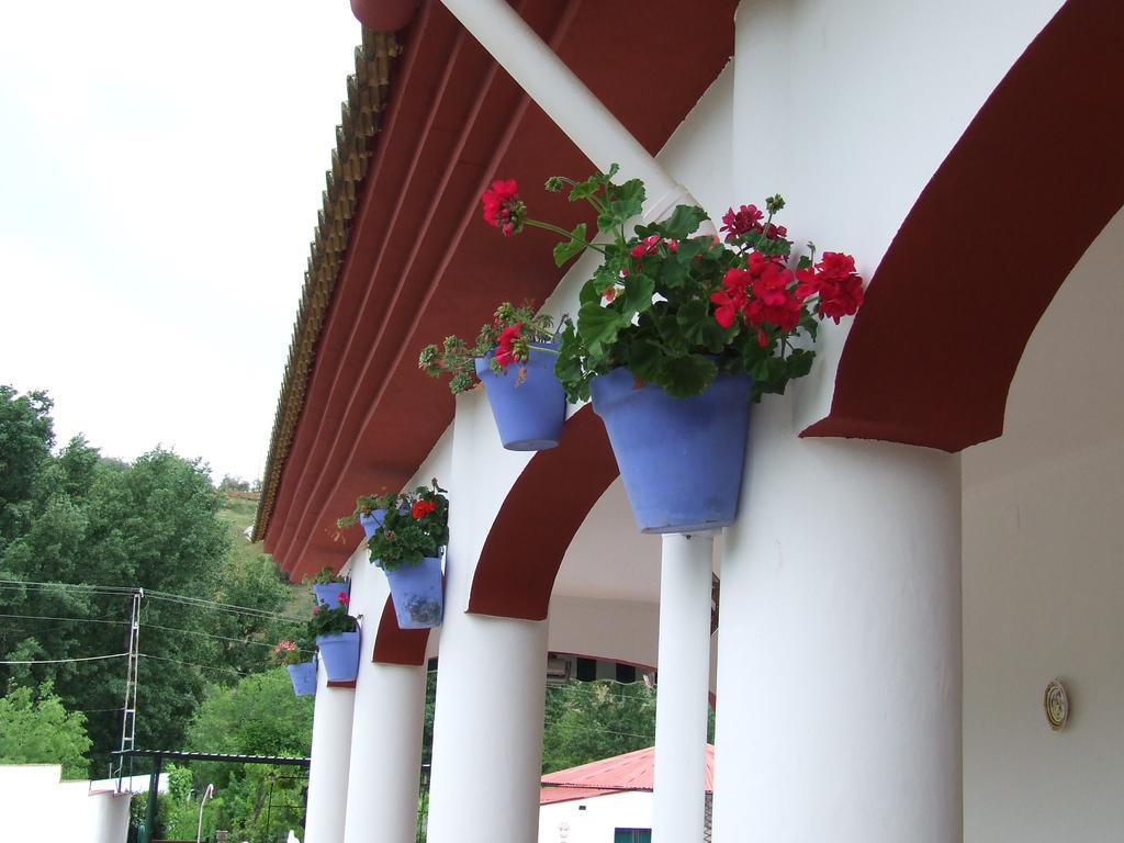Villa Frasquita ปรีเอโก เด กอร์โดบา ภายนอก รูปภาพ